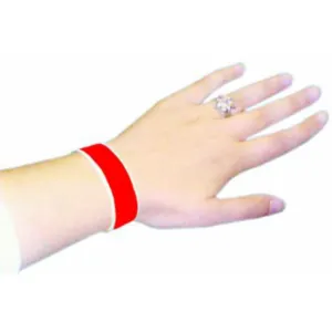 Geogalaxy Red Wristbands - Pack Of 100