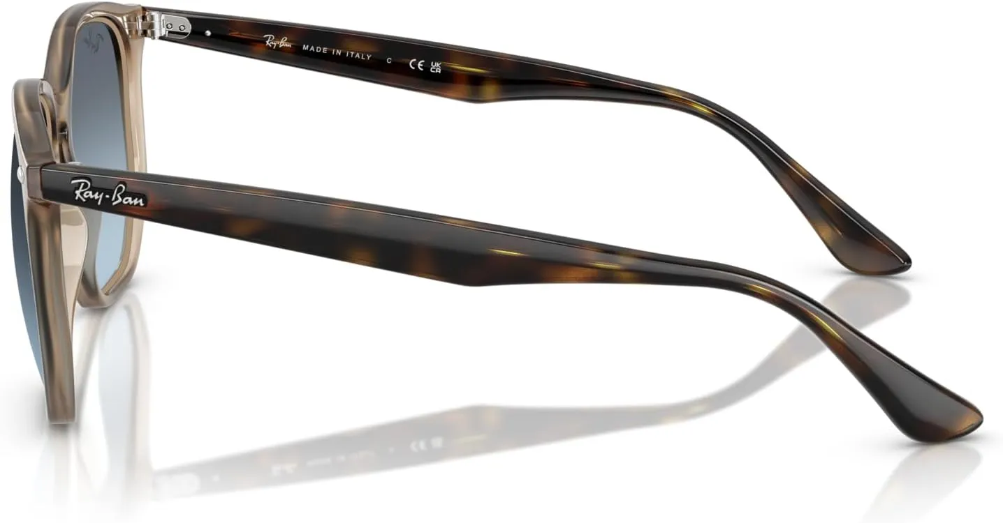 Ray-Ban RB4306 Hexagonal Sunglasses